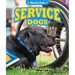 Service Dogs