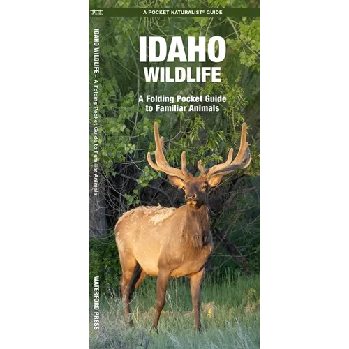 Idaho Wildlife: A Folding Pocket Guide to Familiar Animals