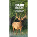 Idaho Wildlife: A Folding Pocket Guide to Familiar Animals