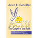 Acts: The Gospel of the Spirit