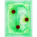 Cosmic Caesious, Cosmic Zinnober, Cosmic Celadon, Cosmic Virescent