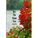 Her: The Flame Tree