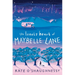 The Lonely Heart of Maybelle Lane