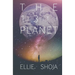 The 13th Planet