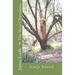 The Slave Chroniques Book 1 Slave Island: Scaife Island
