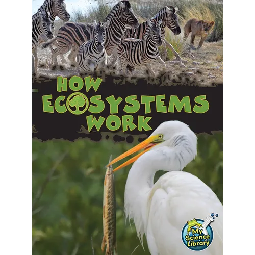 How Ecosystems Work