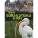 How Ecosystems Work