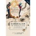 Cameralism in Practice: State Administration and Economy in Early Modern Europe