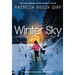 Winter Sky