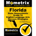 Florida State Assessments Grade 10 English Language Arts Success Strategies Study Guide: FSA Test Review for the Florida Standards Assessments