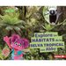 Explora Los Hábitats de la Selva Tropical Con Abby (Explore Rain Forest Habitats with Abby)