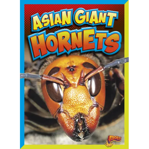 Asian Giant Hornets