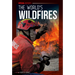 World's Wildfires