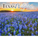 Texas Wildflowers Impressions