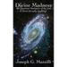 Divine Madness: The Quantum Mechanics of the Soul, A Novel (Broadly Speaking)
