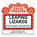 Leaping Lizards: An Irish Dance Counting Book