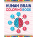 Human Brain Coloring Book: The Human Brain Coloring Book. Human Brain Model Anatomy, Human Brain Diagram, Human Brain Art, Human Brain and Human