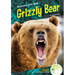 Grizzly Bear