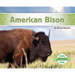 American Bison