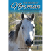 The Book of Norman: A life in the shadow of greatness.