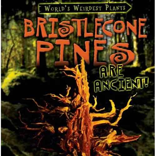 Bristlecone Pines Are Ancient!