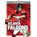 The Story of the Atlanta Falcons