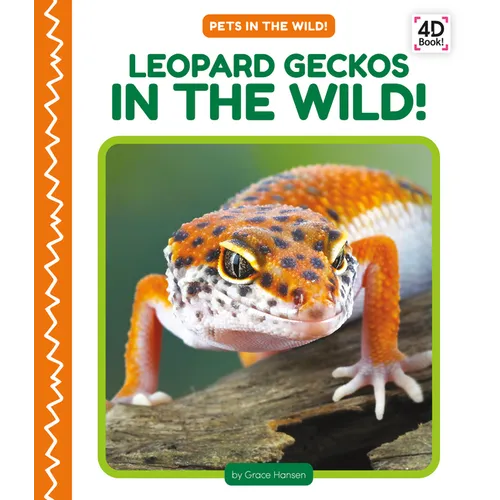 Leopard Geckos in the Wild!