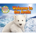 Welcome to the Arctic