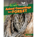Animal Camouflage in a Forest