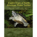 Captive Care of North American Water Turtles