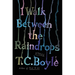 I Walk Between the Raindrops: Stories