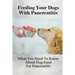 Feeding Your Dogs With Pancreatitis: What You Need To Know About Dog Food For Pancreatitis: Pancreatitis Diet Recipes