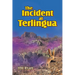 The Incident at Terlingua