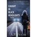 Caught in Black Headlights: (Poetry Collection)