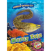 Moray Eels