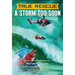 True Rescue: A Storm Too Soon