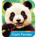 Smithsonian Kids Giant Pandas