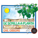 de Semilla a Planta