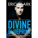 Divine Blueprint: What the World Calls Coincidence God Calls Providence