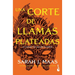 Una Corte de Llamas Plateadas / A Court of Silver Flames