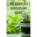 The Complete House Plant Guide: From Beginner to Expert