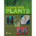 Paleozoic Fossil Plants