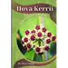 Hoya Kerrii: Plant overview and guide