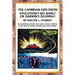 The Cambrian Explosion: Evolution's Big Bang? or Darwin's Dilemma