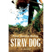 Stray Dog
