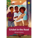 Cricket in the Road