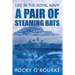 A Pair of Steaming Bats: Life in the Royal Navy