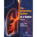 The Respiratory System at a Glance