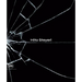 Hito Steyerl: The City of Broken Windows