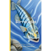 It's Time to Learn about Barracudas